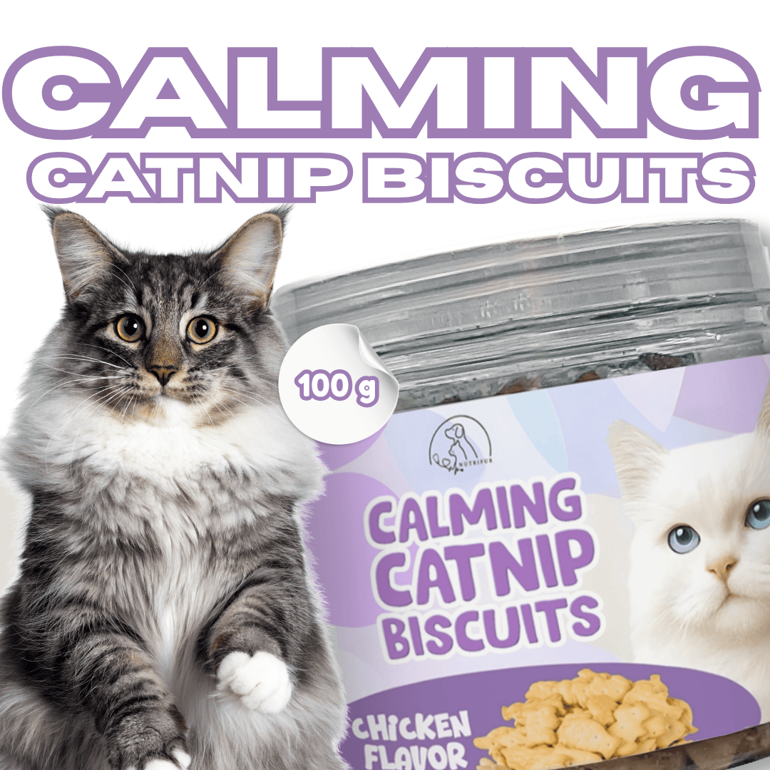 Cat Treats & Snacks - Nutrifur Calming Catnip Biscuit for Cats Flavor 100g
