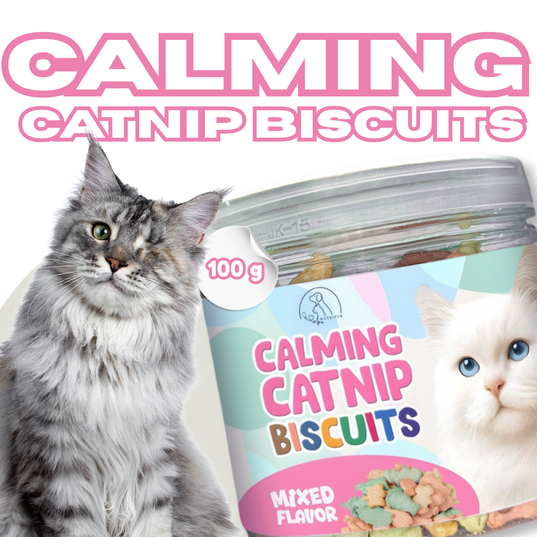 Cat Treats & Snacks - Nutrifur Calming Catnip Biscuit for Cats Flavor 100g