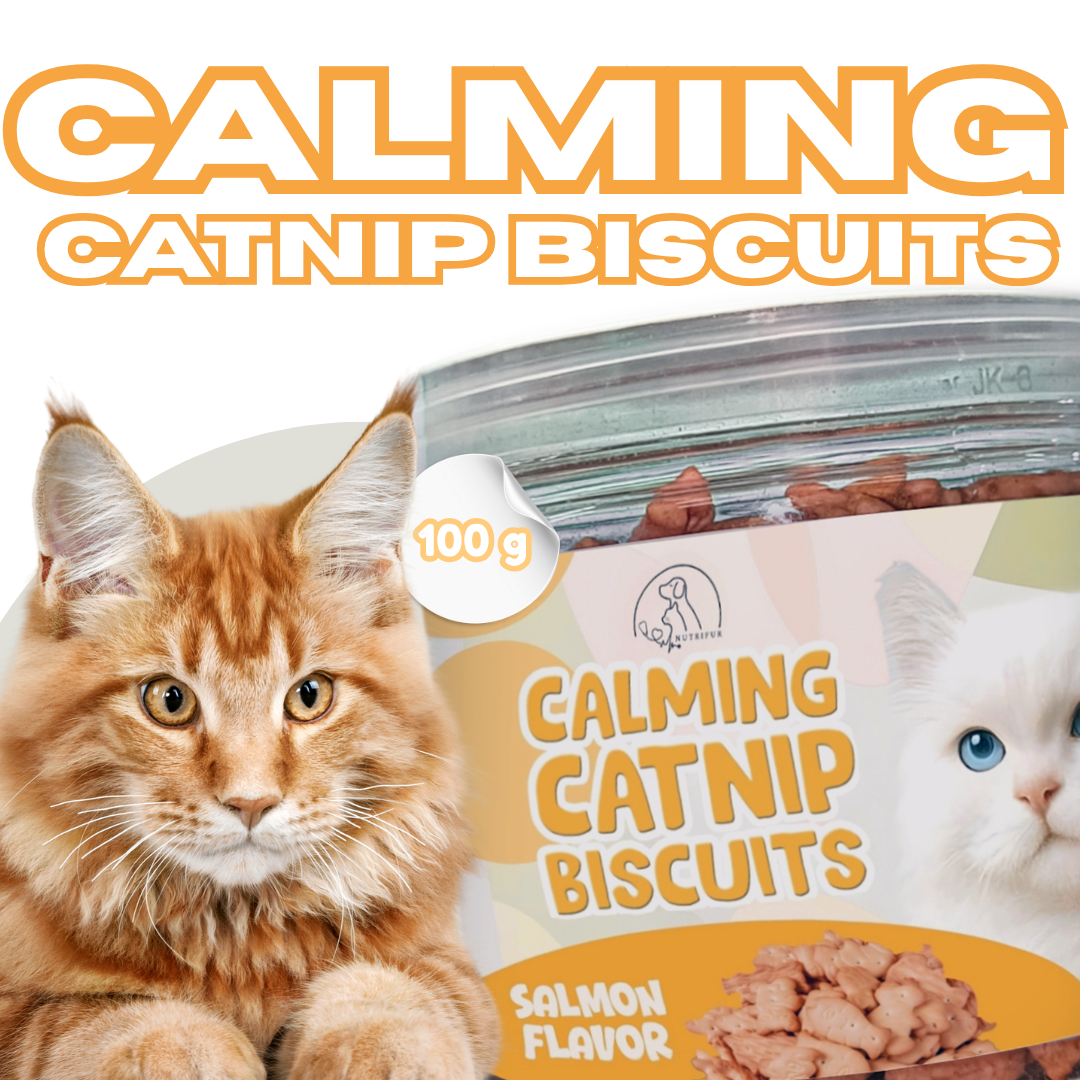 Cat Treats & Snacks - Nutrifur Calming Catnip Biscuit for Cats Flavor 100g