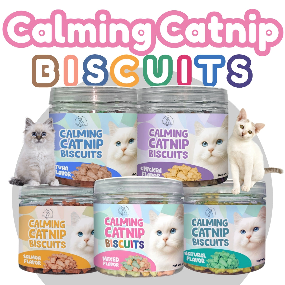 Cat Treats & Snacks - Nutrifur Calming Catnip Biscuit for Cats Flavor 100g