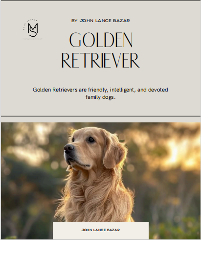 Golden Retriever