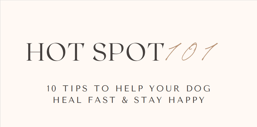 Hot Spot 101 10 Tips to Help Your Dog Heal Fast & Stay Happy