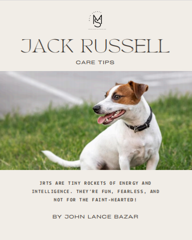 JACK RUSSELL
