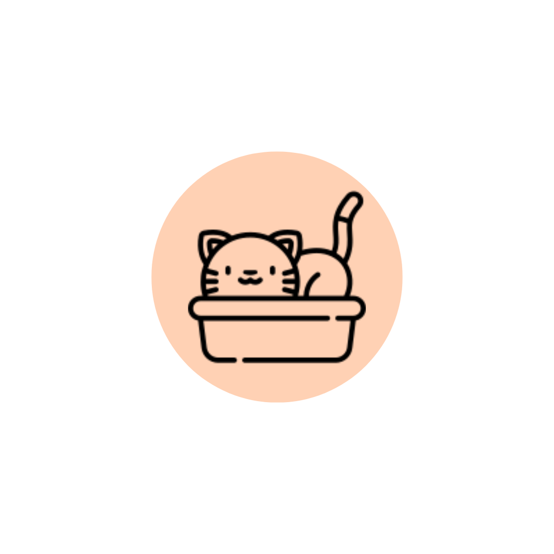 Cat Litter