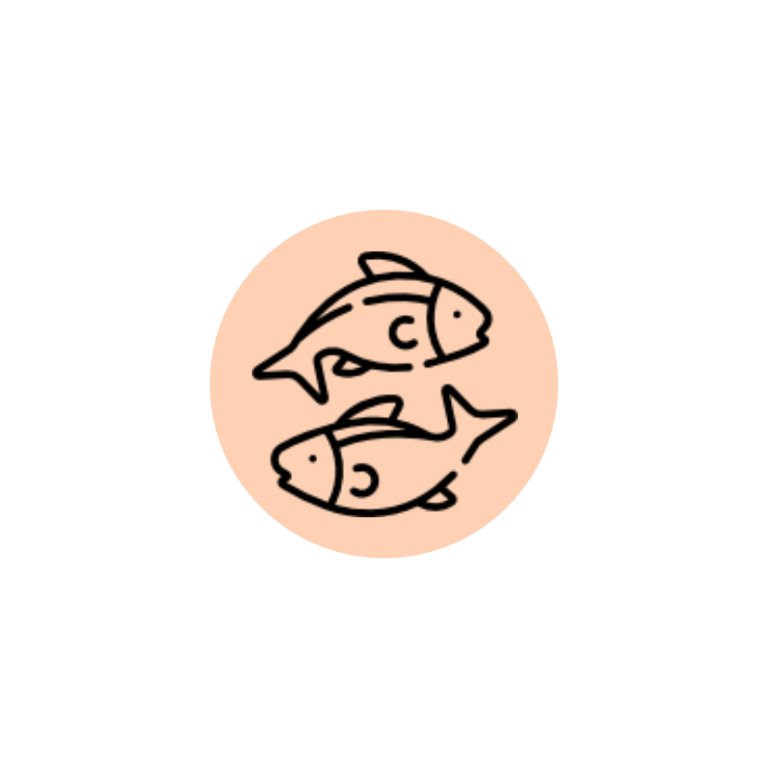 Fish Food & Equipment