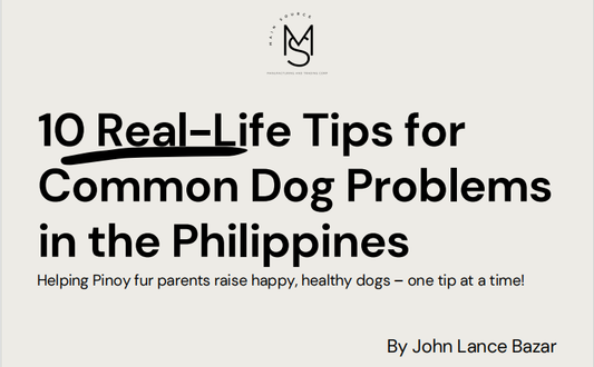 10 Real-Life Tip for Common Dog Problems in the Philippines