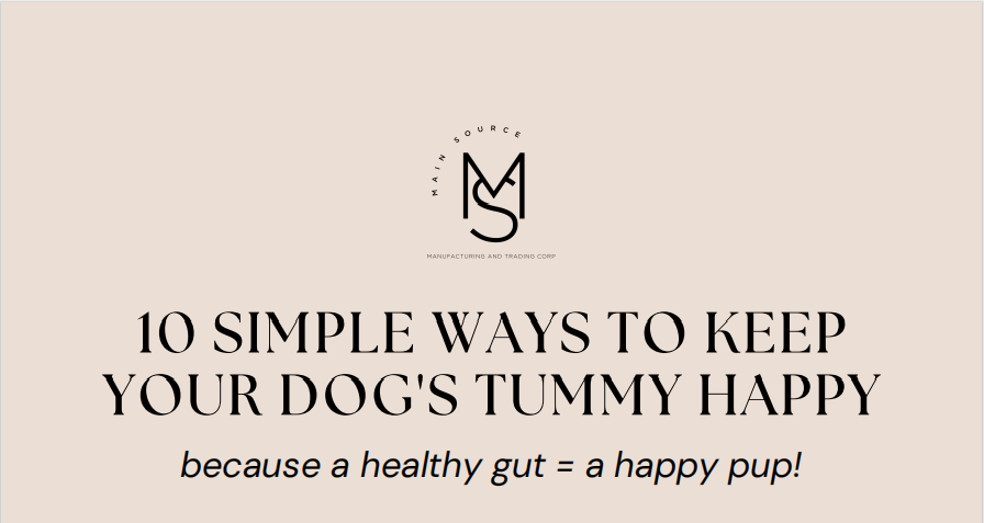 10 SIMPLE WAYS TO KNOW YOUR DOGS TUMMY HAPPY