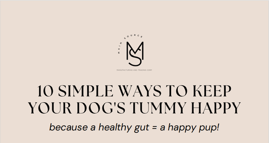 10 SIMPLE WAYS TO KNOW YOUR DOGS TUMMY HAPPY