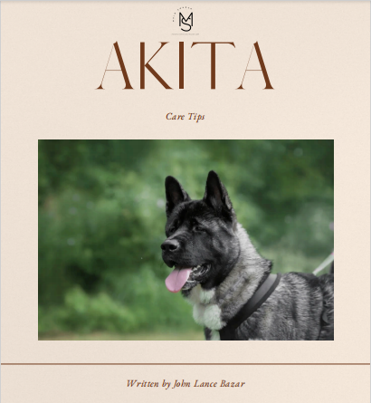 Akita Care Tips