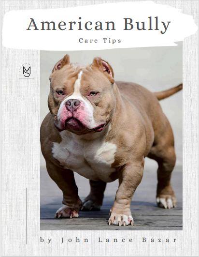American Bully Care Tips