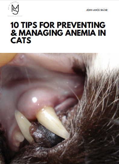 Anemia