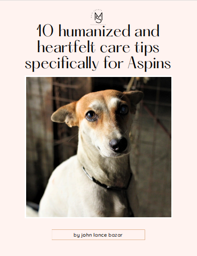 Aspin