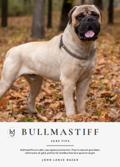 Bullmastiff