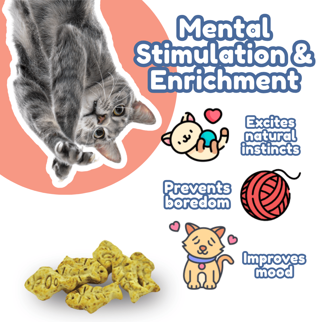 Cat Treats & Snacks - Nutrifur Calming Catnip Biscuit for Cats Flavor 100g