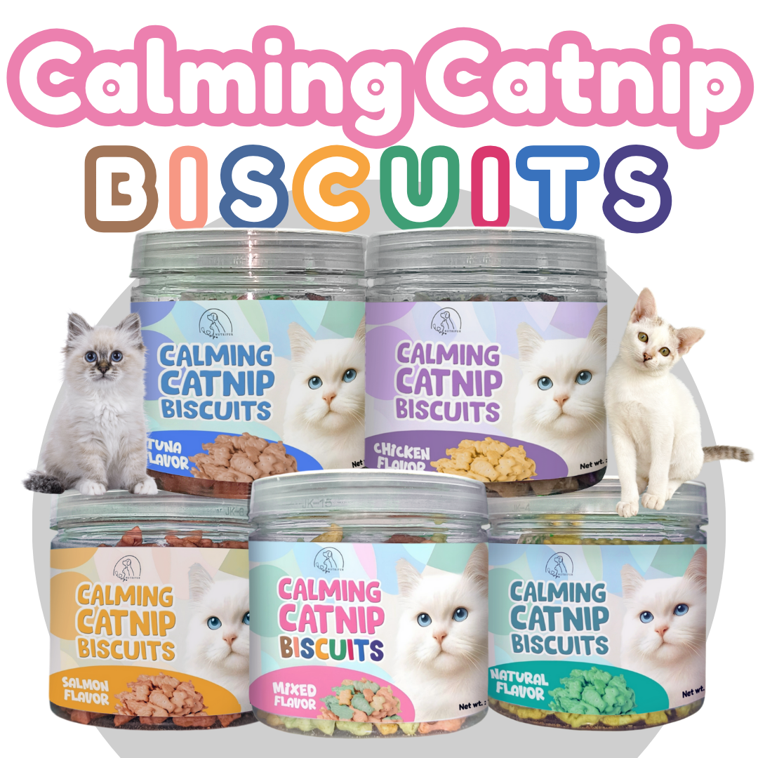 Cat Treats & Snacks - Nutrifur Calming Catnip Biscuit for Cats Flavor 100g