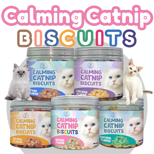 Cat Treats & Snacks - Nutrifur Calming Catnip Biscuit for Cats Flavor 100g