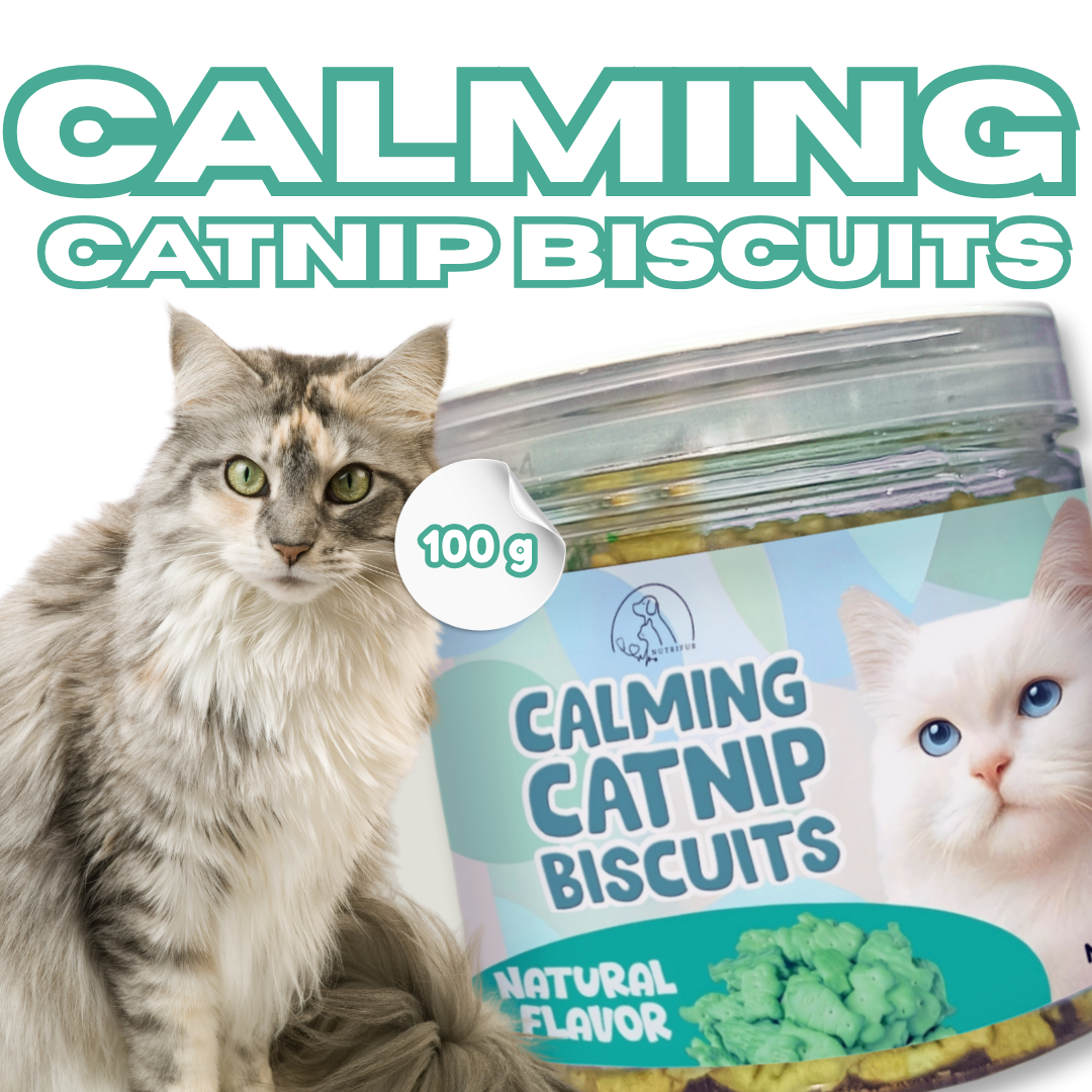 Cat Treats & Snacks - Nutrifur Calming Catnip Biscuit for Cats Flavor 100g