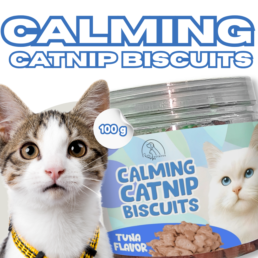 Cat Treats & Snacks - Nutrifur Calming Catnip Biscuit for Cats Flavor 100g