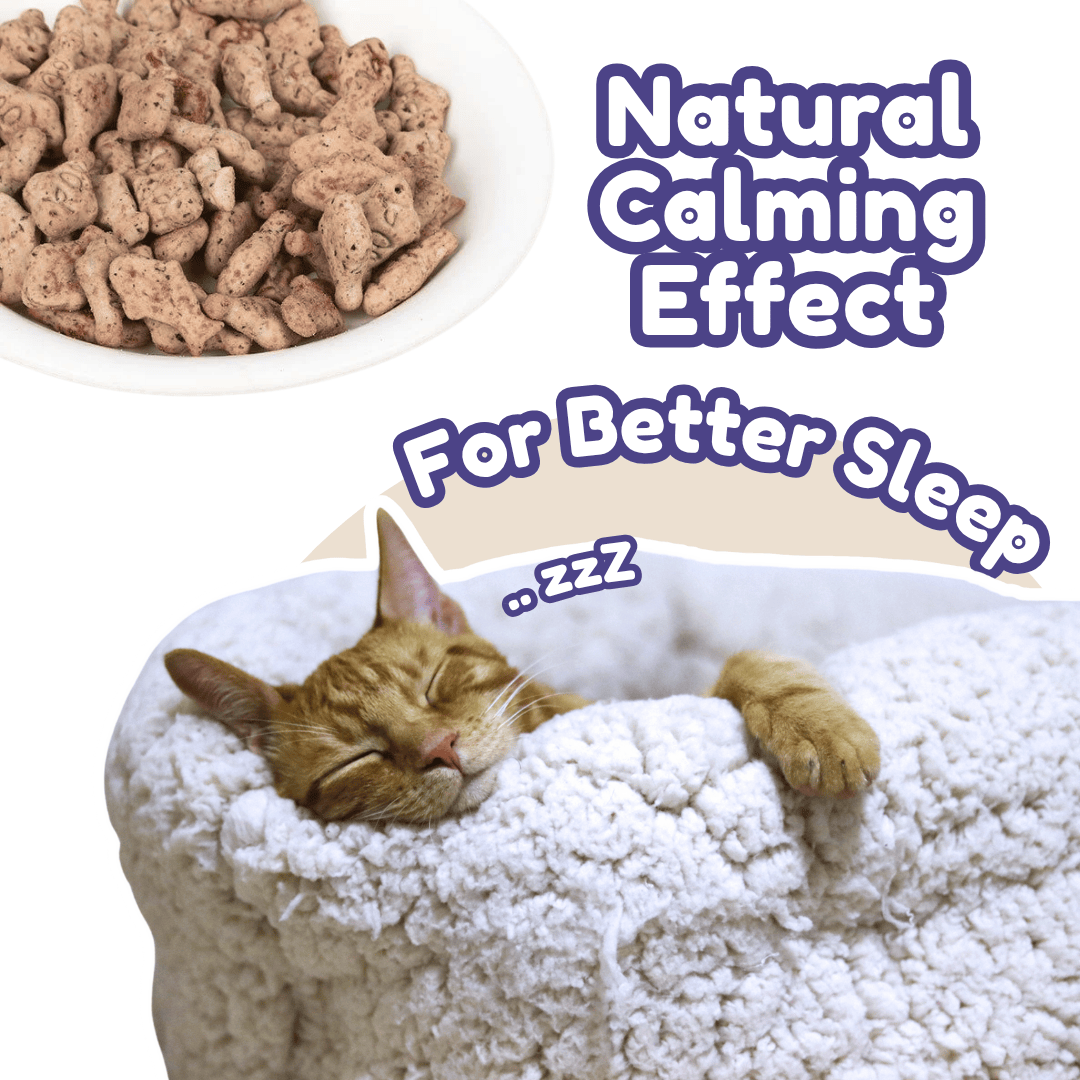 Cat Treats & Snacks - Nutrifur Calming Catnip Biscuit for Cats Flavor 100g