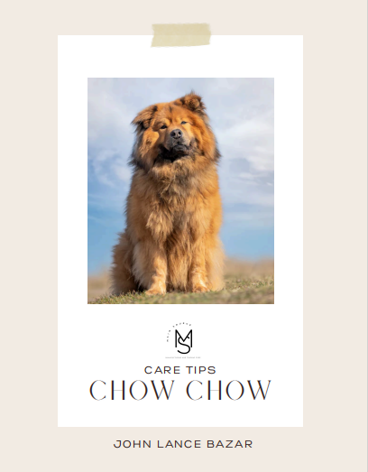 Chow Chow