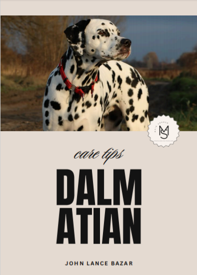 Dalmatian
