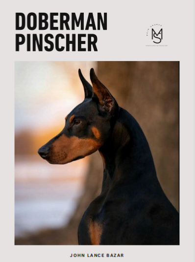 Doberman Pinscher