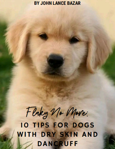 Flaky No More 10 Tips for Dogs with Dry Skin and Dandruff