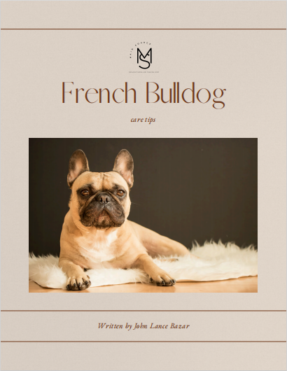 French Bulldog