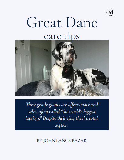 Great Dane