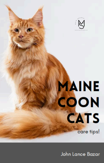 Maine Coon Care Tips