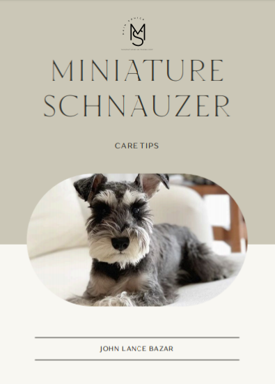 Miniature Schnauzer