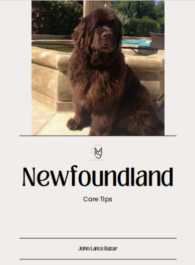 Newfoundland