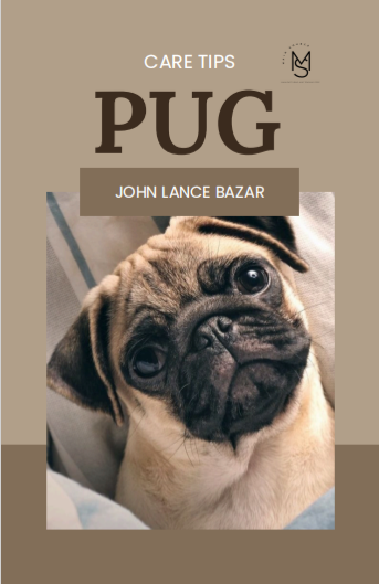 Pug