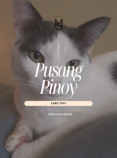 Puspin Care Tips