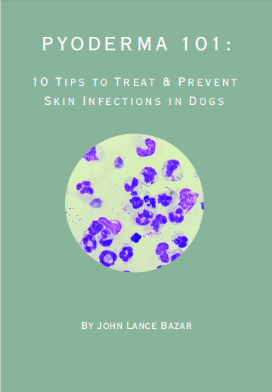 Pyoderma 101 10 Tips to Treat & Prevent Skin Infection in Dogs