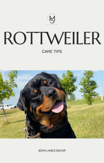 Rottweiler