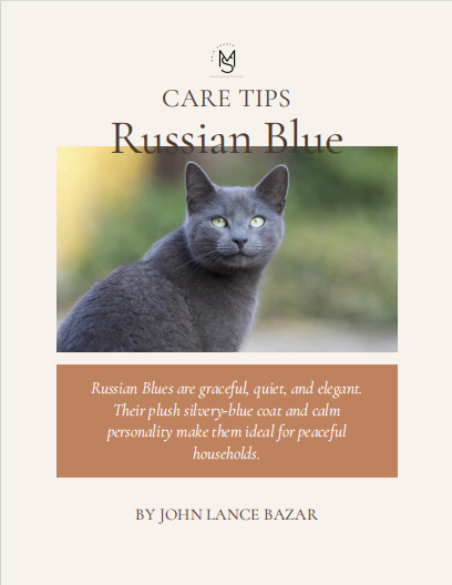 Russian Blue Care Tips