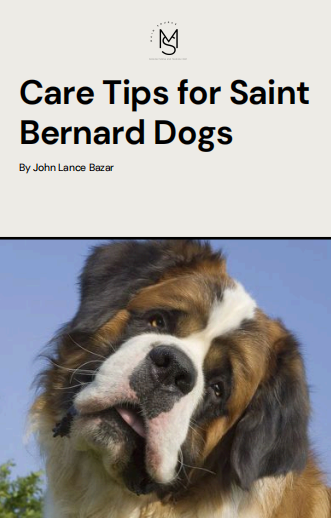 Saint Bernard