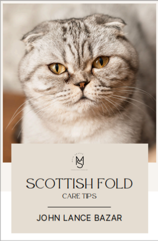 Scottish Fold Care Tips