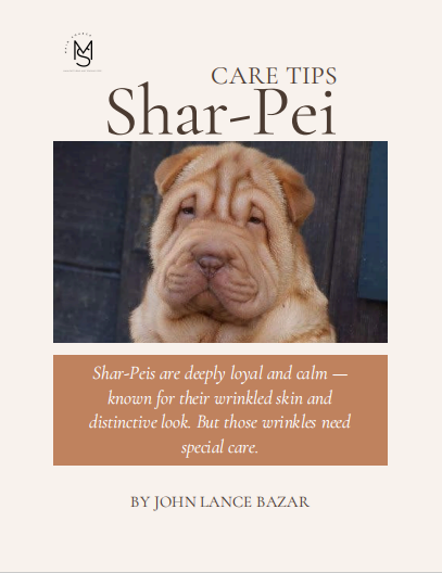 Shar-pei