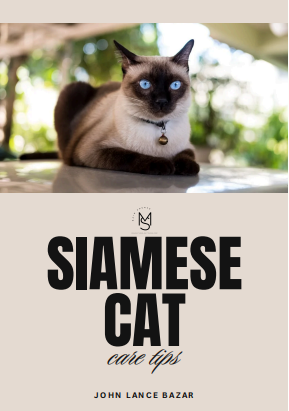Siamese Cat Care Tips