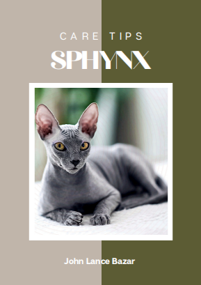 Sphynx Care Tips