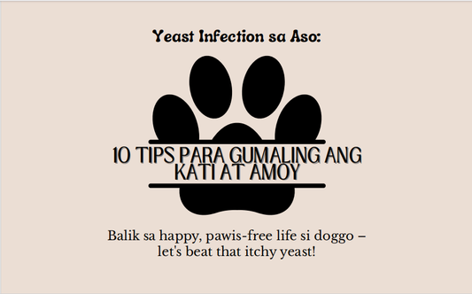 Yeast Infection sa Aso 10 Tips Para Gumaling ang Kati at Amoy