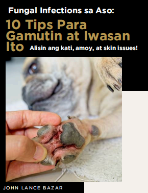 Fungal infections sa aso 10 tips para gamutin at iwasan ito